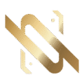 Next Vision Development
